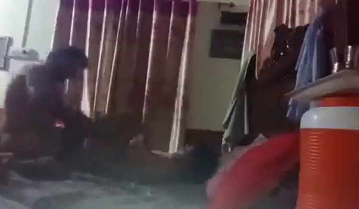sindhi video  ?