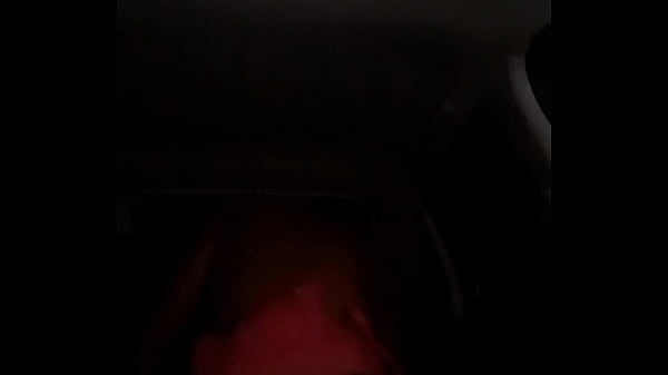 TS in Car Blowjob and Rough Anal Sex with Male Partner